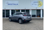 Peugeot 3008 1.5 BlueHDi Active Business - Auto Livenio