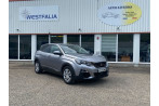 Peugeot 3008 1.5 BlueHDi Active Business - Auto Livenio